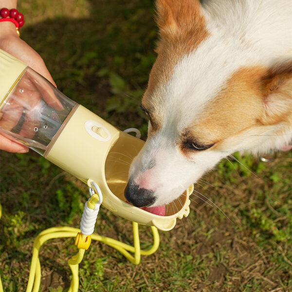 2 In 1 Portable Dog Water Bottle For Small Big Dogs Cat Outdoor Leak-proof Puppy Drinking Bowl With Food Container Pets Feeder Pet Products - Image 2
